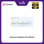 Load image into Gallery viewer, Census | Analytics | Per Month