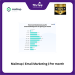Load image into Gallery viewer, Mailtrap | Email Marketing | Per month