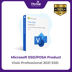 Visio Professional 2021 ESD