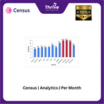 Load image into Gallery viewer, Census | Analytics | Per Month