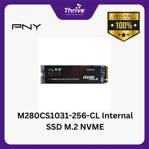 M280CS1031-256-CL Internal SSD M.2 NVME